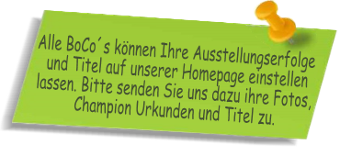 Ihre BoCo Champions-