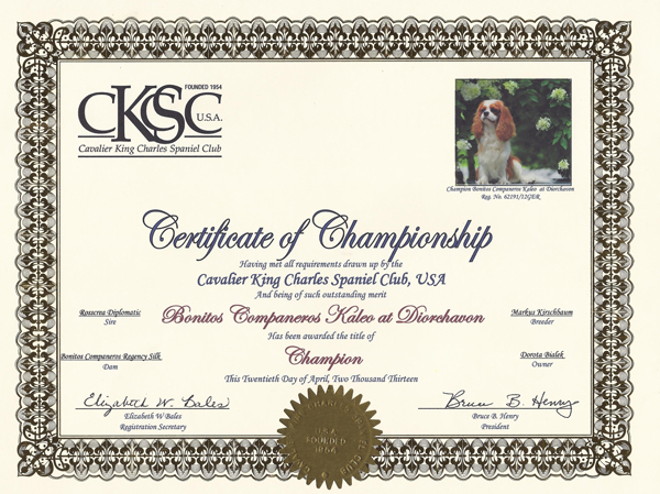 LEO-CKCSC--CHAPIONSHIP-CERTIFICATE.jpeg