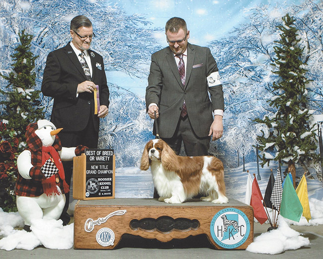 AM. GCH. Bonitos Companeros Reingold