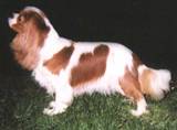 05_Woodstock_Kassie 05_Woodstock_Kassie