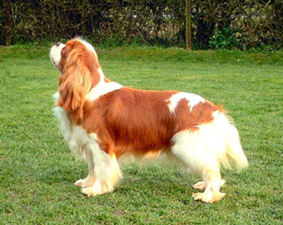 winnie-of-pascavale-02 winnie-of-pascavale-02