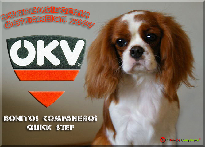 02_Bonitos Companeros Quick-Step 02_Bonitos Companeros Quick-Step