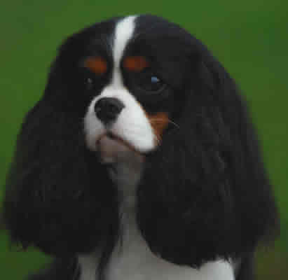 Maibee Moffat 1 Maibee Moffat 1