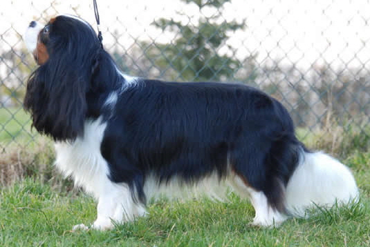 Maibee Moffat 2 Maibee Moffat 2