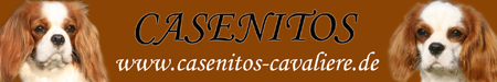 casenitos