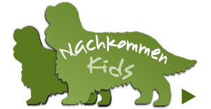 Kids Nachkommen