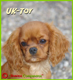 hopeful-uk-toy hopeful-uk-toy