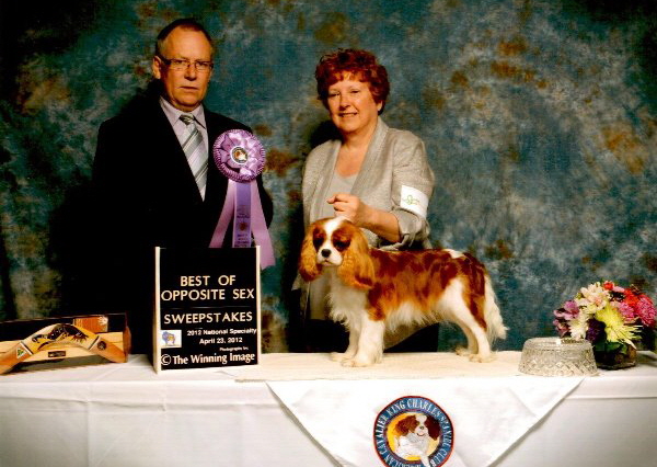 Bonnie%20BOS%20National%20Sweeps Bonnie%20BOS%20National%20Sweeps