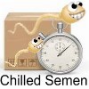 Chilled Semen