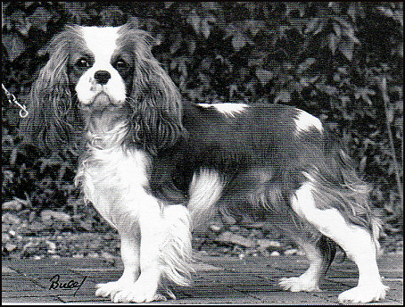 keyingham_rowena keyingham_rowena