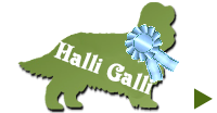 Halli Galli