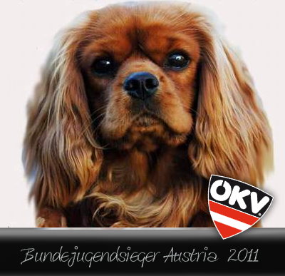 bundejugendssieger%20oekv%202011