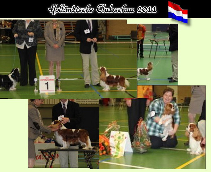 holland%20clubshow