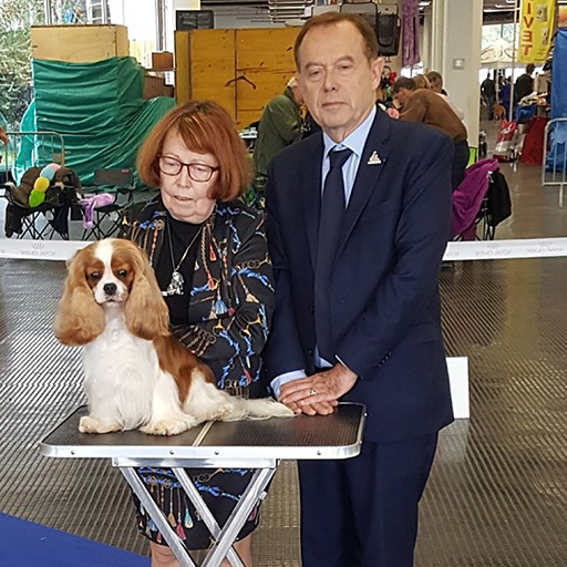 Internationale Cacib Metz Internationale Cacib Metz