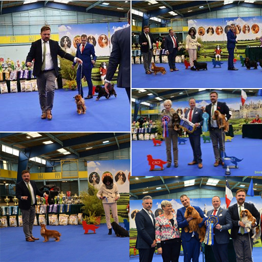 Club Show Frankreich - Nevers Club Show Frankreich - Nevers