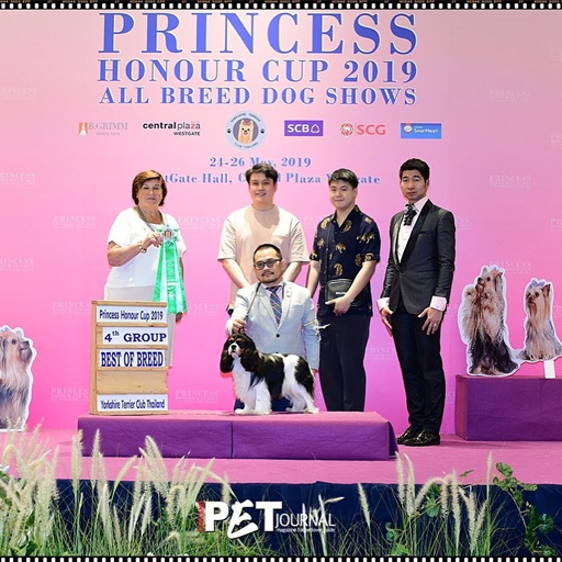 Princess Honour Cup 2019