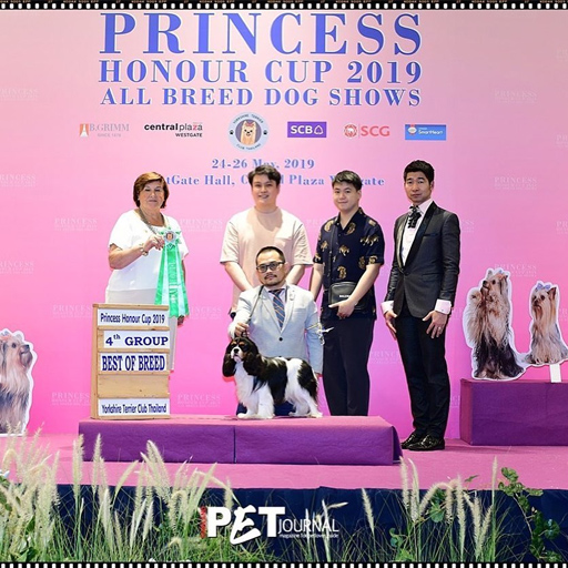 Princess Honour Cup 2019 Princess Honour Cup 2019