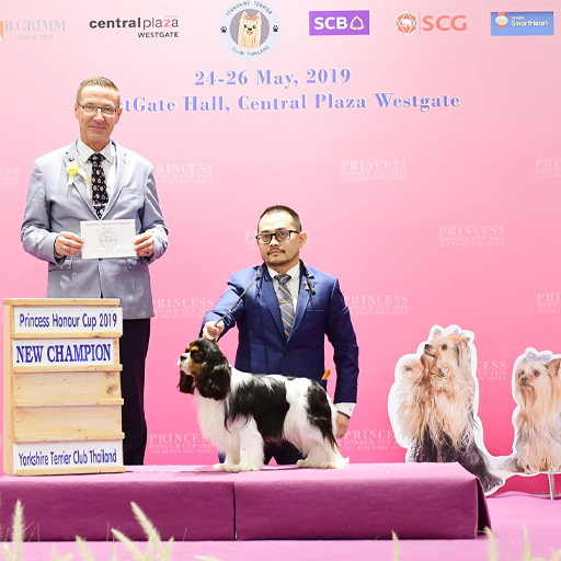 Princess Honour Cup 2019 Princess Honour Cup 2019