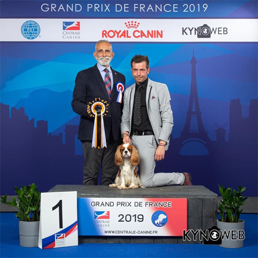 Prix de France 2019 - Junior Best of Breed - Bonitos Companeros Neptune Prix de France 2019 - Junior Best of Breed - Bonitos Companeros Neptune