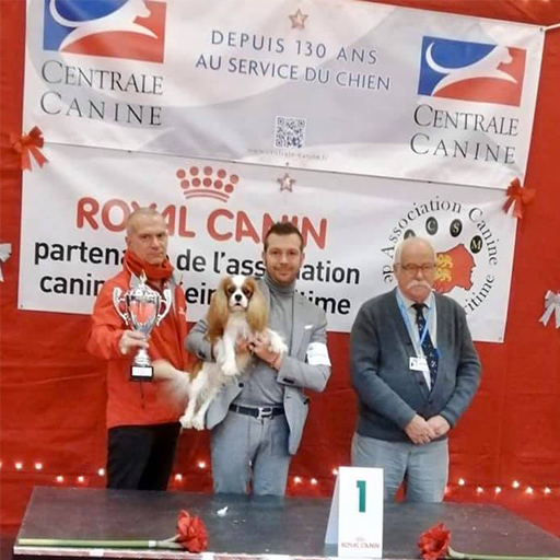 ROUEN CAC /CACIB - Bonitos companeros Neptun ROUEN CAC /CACIB - Bonitos companeros Neptun