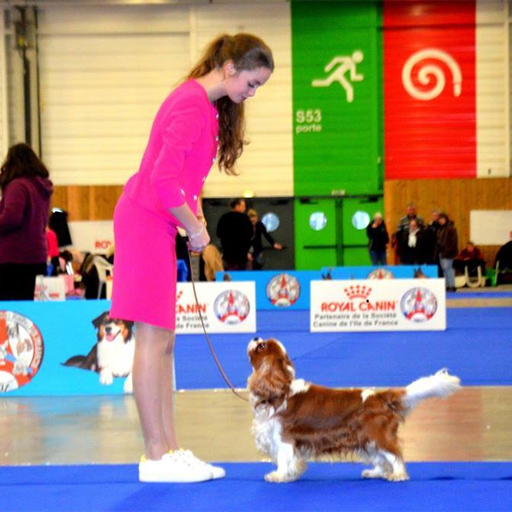 CACIB Paris Le Bourget CACIB Paris Le Bourget