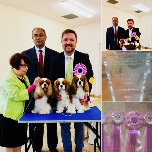 : ICC Dog Show Mülsen - Erzgebirgssieger : ICC Dog Show Mülsen - Erzgebirgssieger