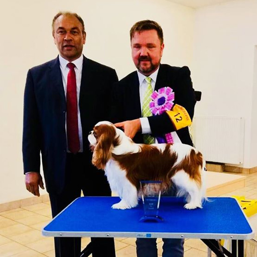 : ICC Dog Show Mülsen - Erzgebirgssieger : ICC Dog Show Mülsen - Erzgebirgssieger