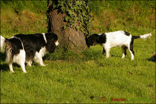 zuechteralltag_meetingpoint