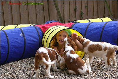 zuechteralltag_spieltunnel3